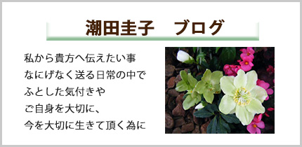ブログ：今日が一番